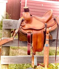 Wade Saddle Buying Guide: What Riders Should Know Before Choosing One